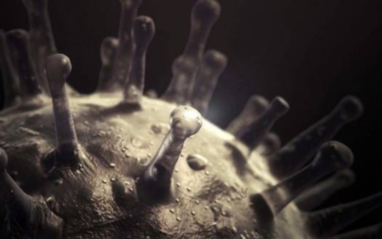 VIRUS, la nueva serie documental de tres episodios, cuenta por qué la viruela, erradicada en todo el mundo en 1977, puede convertirse en la más letal amenaza bioterrorista.