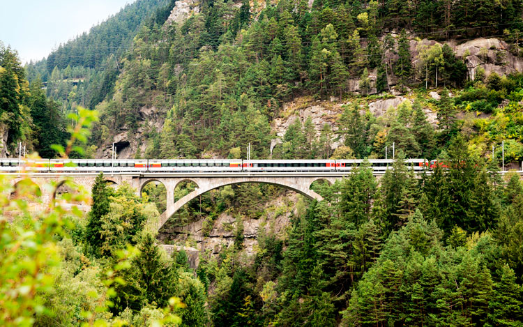 Recorrido culinario en tren