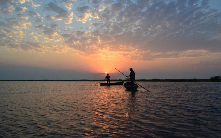 El Parque Nacional Iberá es Ley