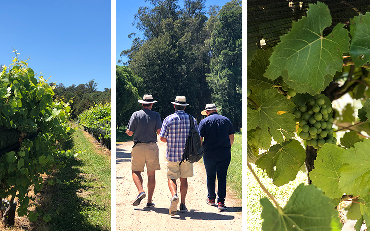 Visitamos la bodega "Costa & Pampa", en Chapadmalal, sobre la costa atlántica argentina, donde se producen vinos con marcada influencia oceánica.