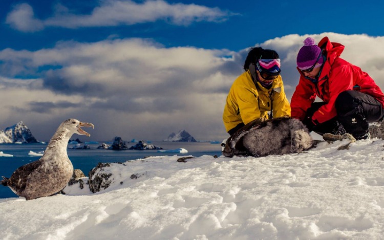 Día de la Antártida Argentina: conservar la vida en el rincón más austral del mundo