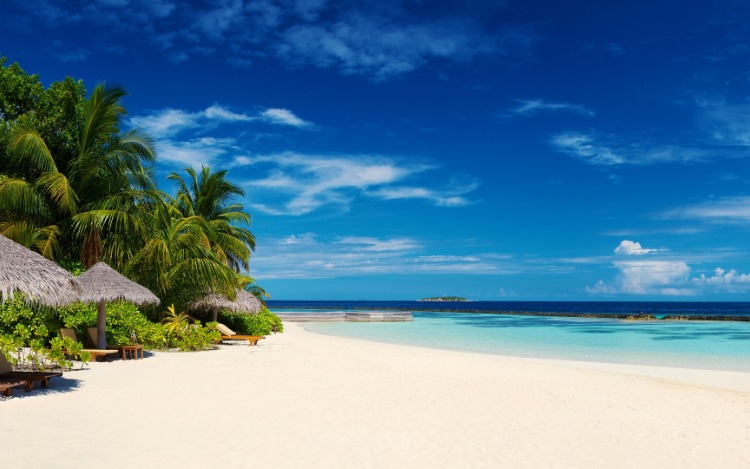 Seguramente tenemos conocimiento de las Antillas, nombre genérico de un variado grupo de islas situado en el Mar Caribe entre el Norte de Colombia y Venezuela y el Sur de la península de Florida.  Las más de 7000 islas se dividen en  Antillas Mayores y Menores.