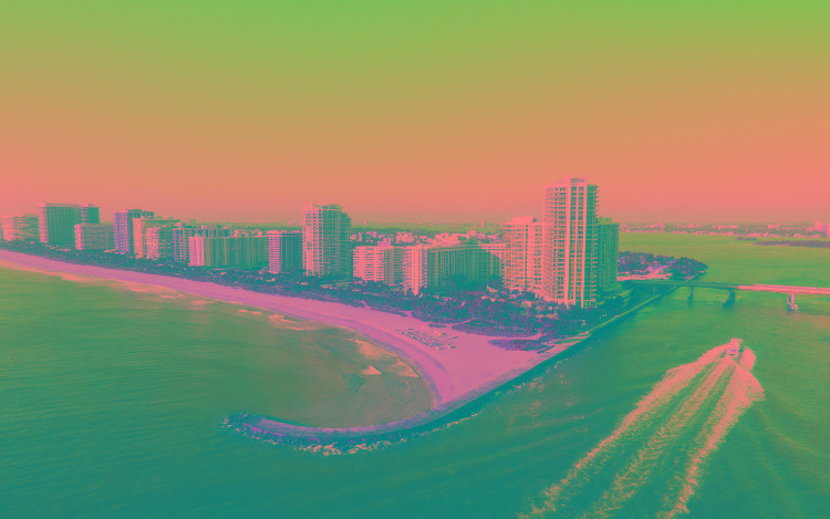 Dog Friendly Bal Harbour