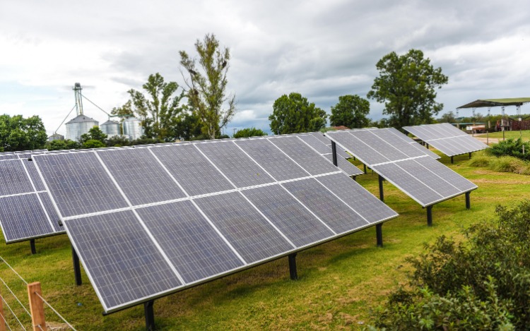 El tambo "solar" que exporta leche a la Unión Europea