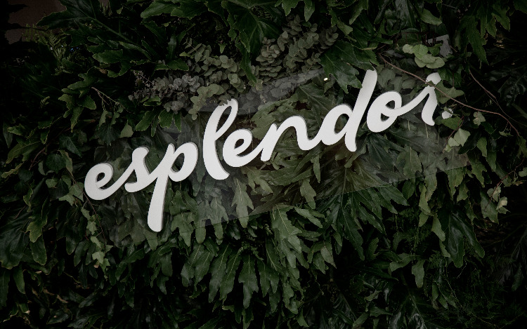 Esplendor by Wyndham, presenta su nueva identidad que celebra la convergencia del arte y la experiencia