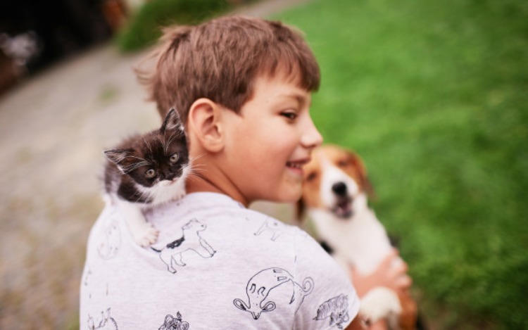 Cuando hablamos de familia, su salud y su felicidad es nuestra mayor prioridad. Aplica para cada uno de los miembros de nuestra familia y las mascotas no son la excepción.