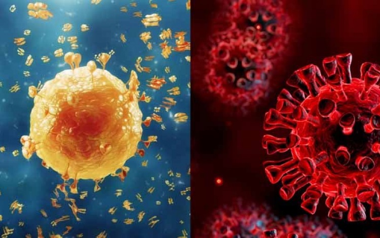 Similitudes y diferencias entre la COVID-19 y la gripe