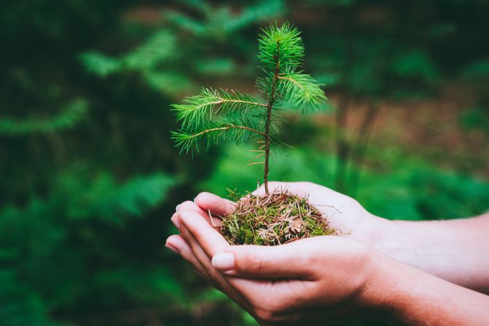 El 22 de Abril se celebra el Día de la Tierra para crear una conciencia común a los problemas de la sobrepoblación, la producción de contaminación, la conservación de la biodiversidad y otras preocupaciones ambientales para proteger la Tierra.