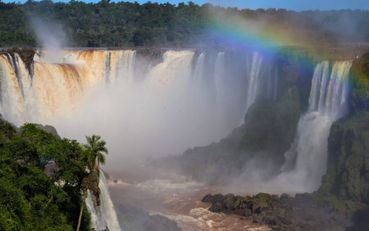 5 de junho, Dia Mundial do Meio Ambiente