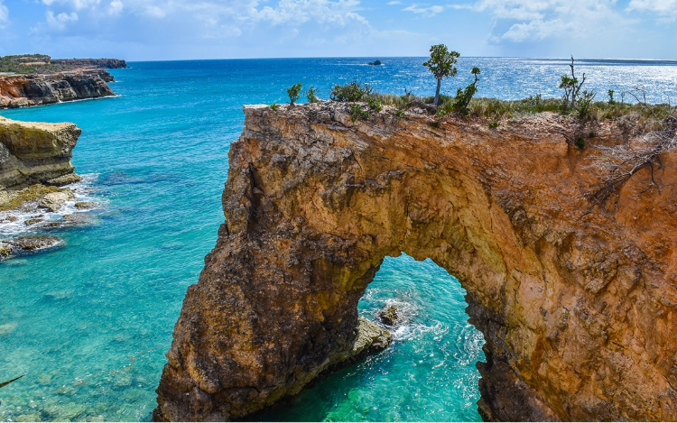 La OMS declara a la isla de Anguilla libre de Covid-19