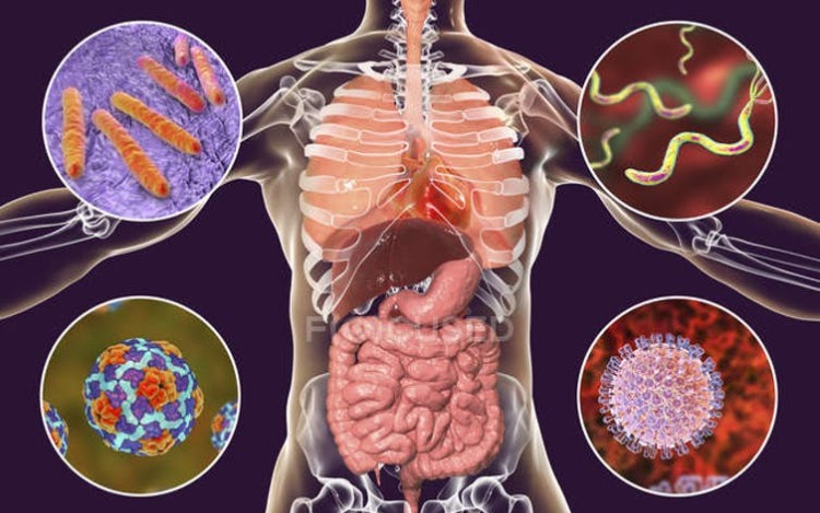 Los síntomas gastrointestinales pueden jugar un papel fundamental para detener la propagación del COVID-19