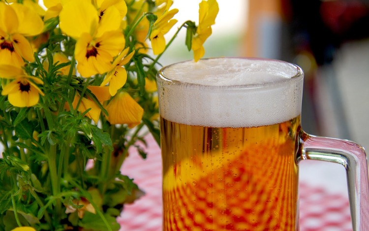 A menudo se dice que en las ciudades europeas durante la Edad Media se bebía cerveza débil en lugar de agua sucia. Este hecho es probablemente exagerado , pero la idea de que la cerveza era nutricionalmente importante en el período medieval parece más probable.