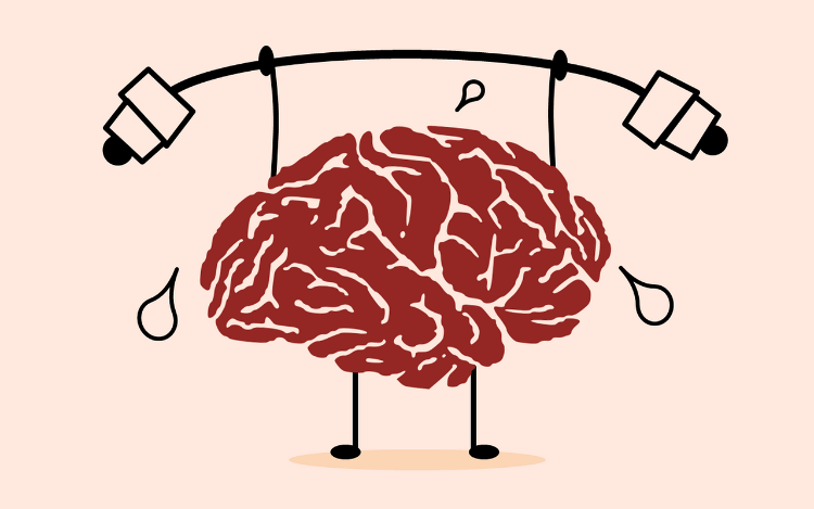 El entrenamiento de nuestro cerebro, centro del sistema nervioso, es de vital importancia para mantener el correcto equilibrio entre mente y cuerpo.