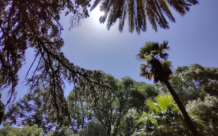 El público busca cada vez más opciones para estar en contacto con la naturaleza.