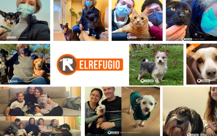 El Refugio es una organización sin ánimo de lucro, cuyas actividades principales son la prevención y denuncia del abandono y maltrato de los animales, la gestión de su Centro de Adopción de animales abandonados y la realización de Campañas de divulgación y concienciación.