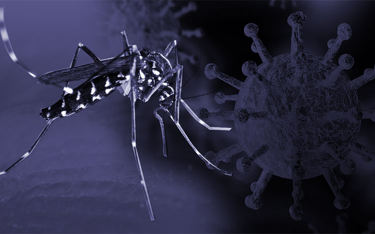 La convivencia de ambos virus lleva a extremar precauciones a las ya difundidas producto de la pandemia.