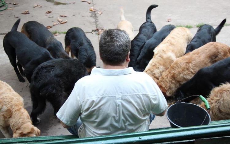 13 perros rezan con el "encantador de perros de Roque Pérez"