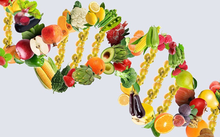 Nutrigenética y Nutrigenómica: una dieta acorde al ADN