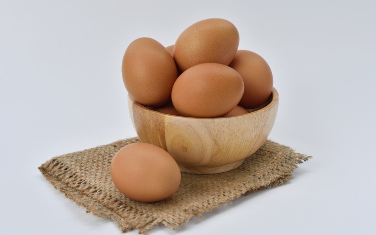 Día Mundial del Huevo: Todo lo que hay que saber sobre este increíble alimento