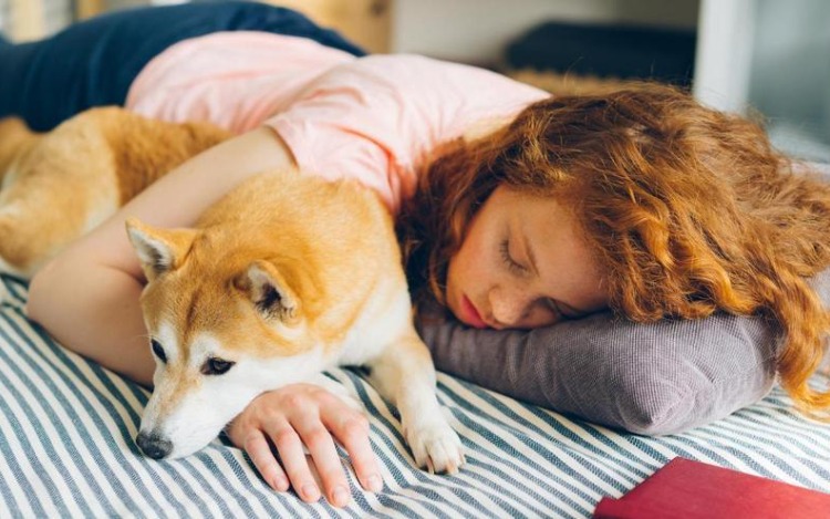 ¿Por qué no deberías dormir con tu mascota?