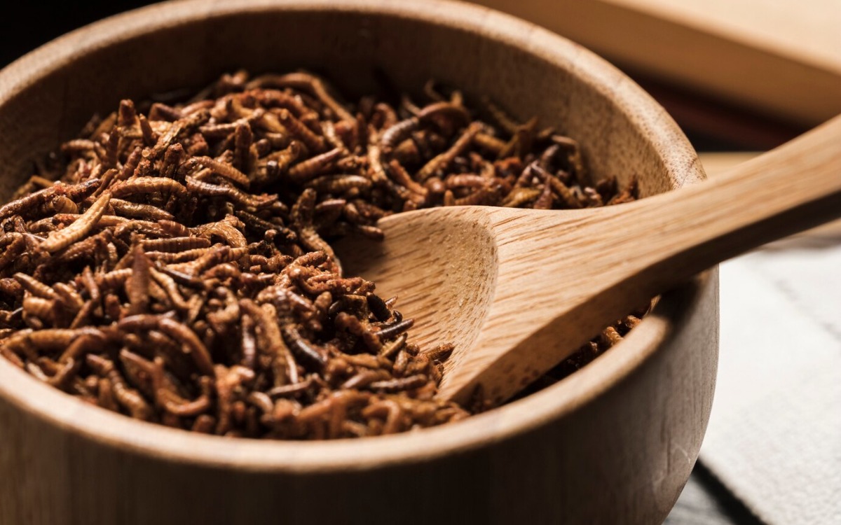 Insectos comestibles: los diez manjares exóticos y nutritivos que sorprenden al mundo