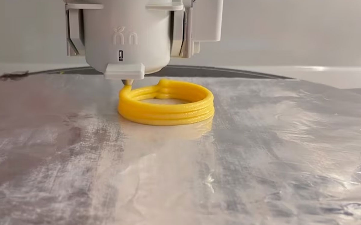 Imprimieron rabas en 3D que son comestibles y aportan hasta un 5% más de proteína que las de calamar real