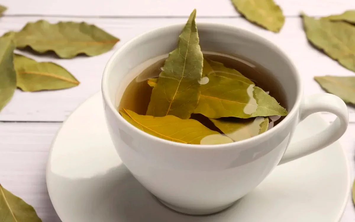 Por qué tomar té de laurel es una pregunta clave si deseas mejorar tu salud con una infusión natural llena de beneficios probados.
