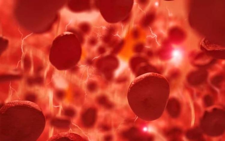 
			No hubo mucha gente en su funeral porque muy pocos se enteraron de que se había ido