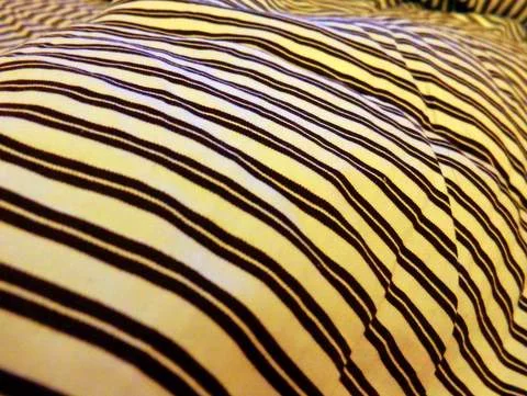 ¿Algún complejo limita tu vida?