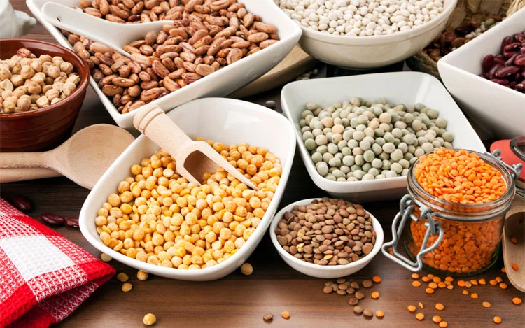 
			Durante el mes de mayo en las Estaciones Saludables y Mercados, se ofrecerán de manera libre y gratuita diversas actividades y charlas sobre legumbres a cargo de nutricionistas.