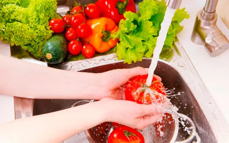 
			Las especialistas de “Bromatología en Casa” que trabajarán en cada detalle bromatológico de la feria "Caminos y Sabores", revelan importantes consejos para implementar a la hora de cocinar y manipular los alimentos. Cada tip está basado en las leyes del Código Alimentario Argentino (CAA).