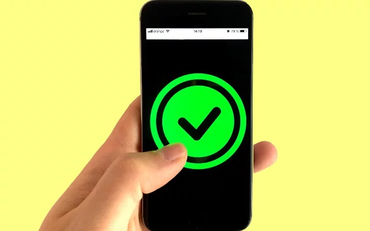 
			Tener conocimiento de los aspectos que debes de tomar en cuenta antes de realizar tus compras en línea, harán que saques el mayor provecho de ellas. No te dejes sorprender y checa estos 7 tips, que a continuación platicamos.