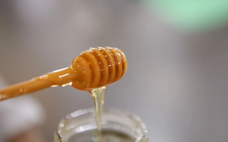
			Productores, cantineros e influencers comparten la amplia gama de usos que tiene la miel.