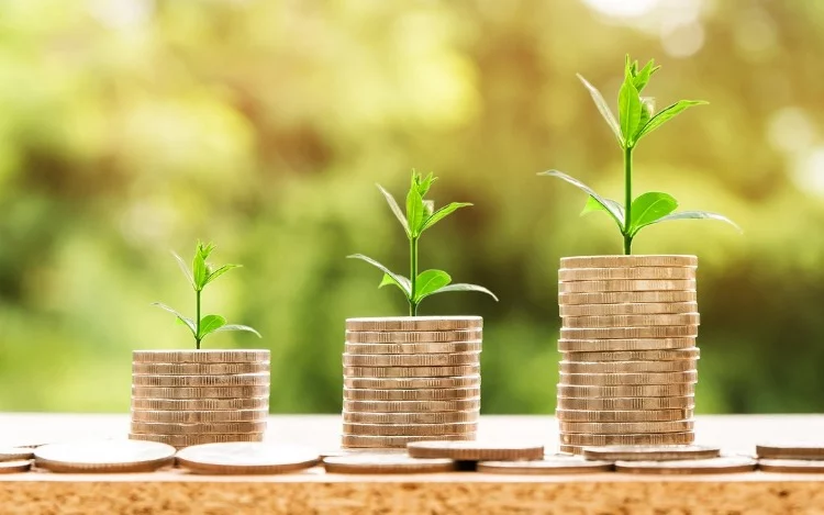 
			Costo de producción, gastos generales y mantenimiento son los rubros más importantes sobre los cuales deberás poner atención para reducir tus gastos e incrementar tus ganancias.