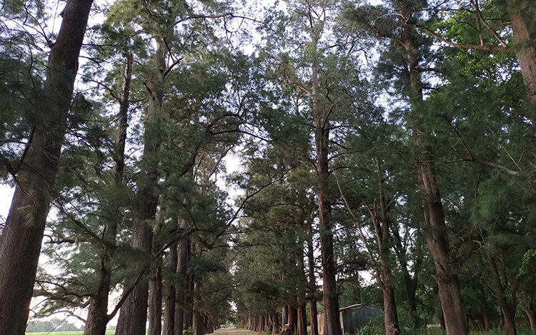 También te puede interesar esta nota... Desconectarse para conectarse con la naturaleza