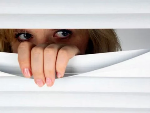 Despertar la curiosidad