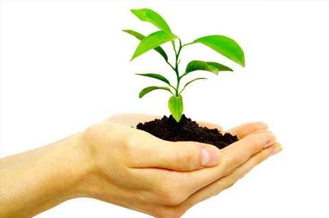 El 85 por ciento de los empresarios argentinos consideran que la solidaridad es el valor agregado de las compañías exitosas