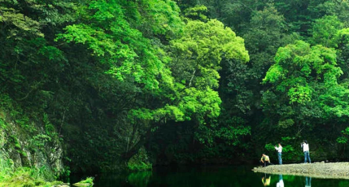 Es porque "se adapta a lo largo de la vida para combatir enfermedades", explica una investigación de la Universidad de Stanford, de Estados Unidos.