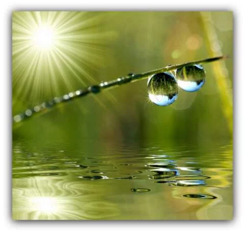 Cuentos para reflexionar 