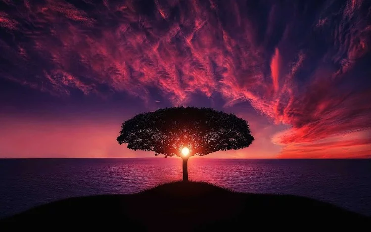 
			Aprovechemos los momentos en los que seamos felices para firmar un contrato, nuestro tratado de paz, un tratado de verdadero amor.