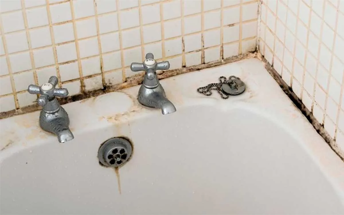 El moho en el baño es un problema común que afecta a muchos hogares, y su eliminación puede parecer una tarea ardua.
