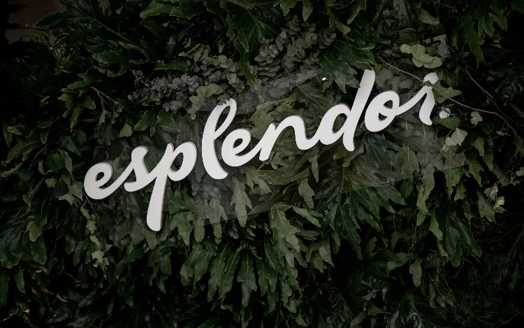 
			La marca de hoteles lifestyle, reconocida por su visión vanguardista de edificios históricos, relanza su identidad visual y reafirma su lugar protagónico como curador de experiencias de viajes artísticos y culturales.