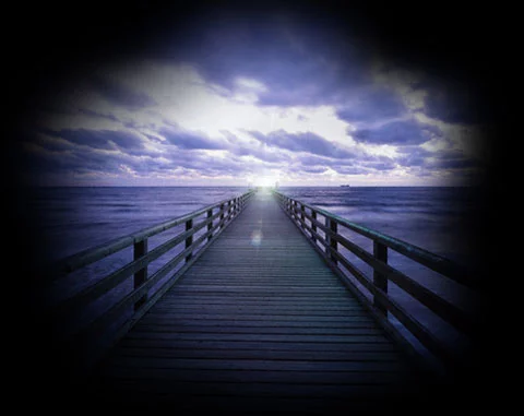 La inmortalidad física se convierte en una especulación práctica