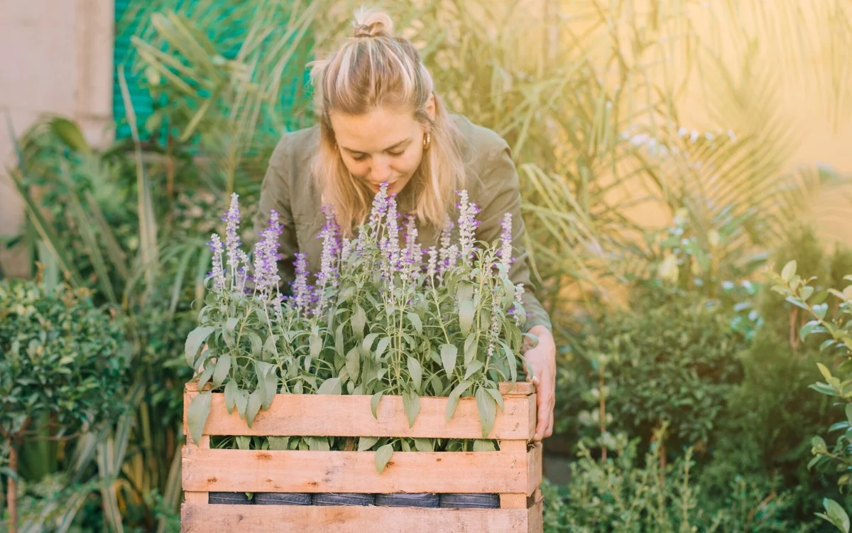 La poderosa combinación de ruda y lavanda en el jardín de casa: protección, paz y equilibrio