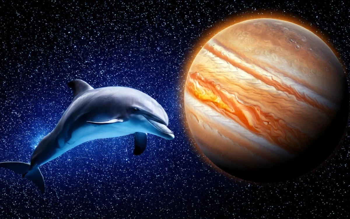La sorprendente foto de la NASA que muestra un “delfín” en Júpiter: qué hay detrás del fenómeno