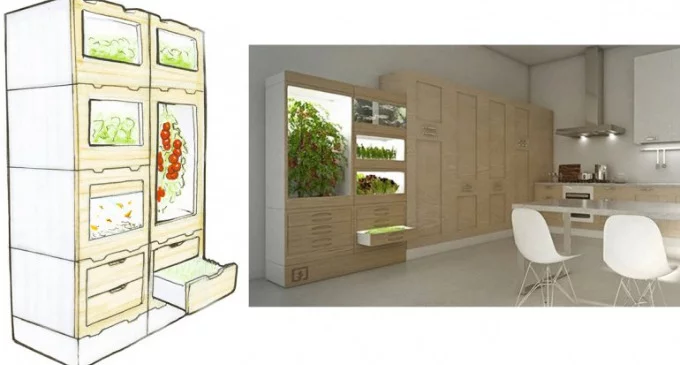 Las verduras del futuro crecen en muebles y no necesitan luz