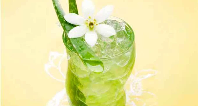 Le suma energía a tu alimentación y limpia el organismo. ¿Ya lo probaste?