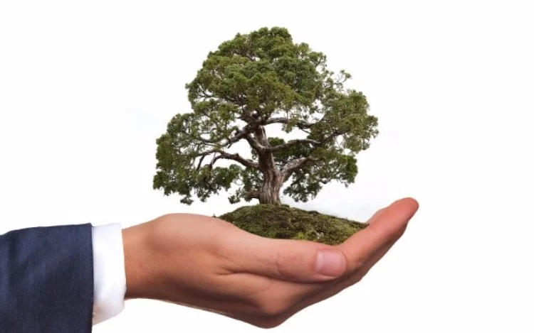 
			La idea de la Responsabilidad Social Empresaria o Corporativa surge en Estados Unidos durante finales de los años 50 y principios de los 60 a raíz de la Guerra de Vietnam y otros conflictos como el Apartheid.