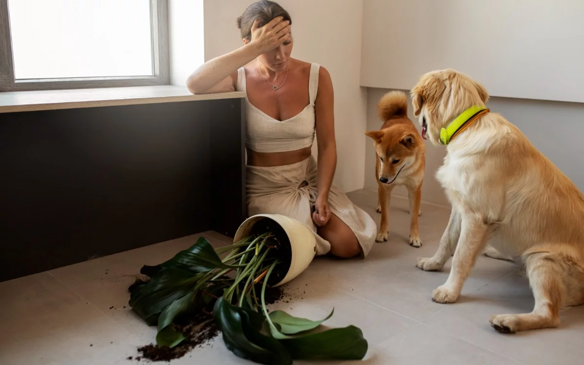 Los gritos de alegría o enojo alteran el equilibrio físico de los perros, según un estudio que revela cómo interpretan (o no) nuestras emociones.
