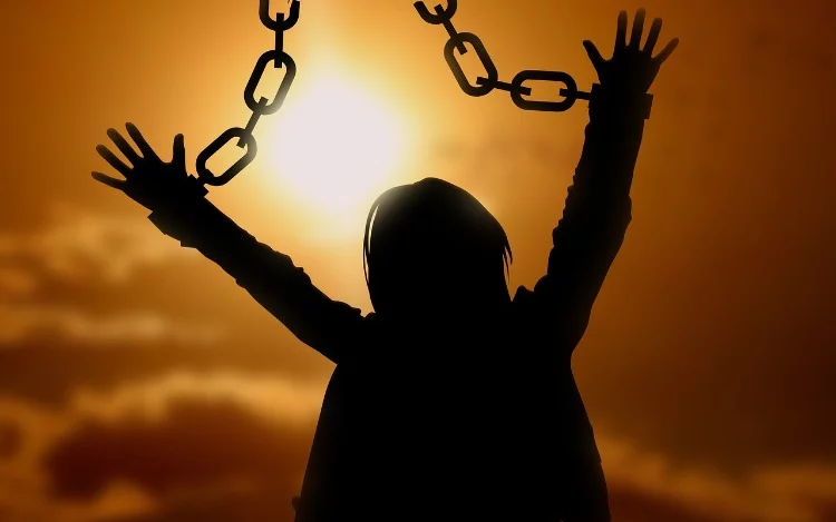 
			Todos sentimos la presencia opresiva de las reglas, tanto escritas como no escritas, es prácticamente una regla de vida.